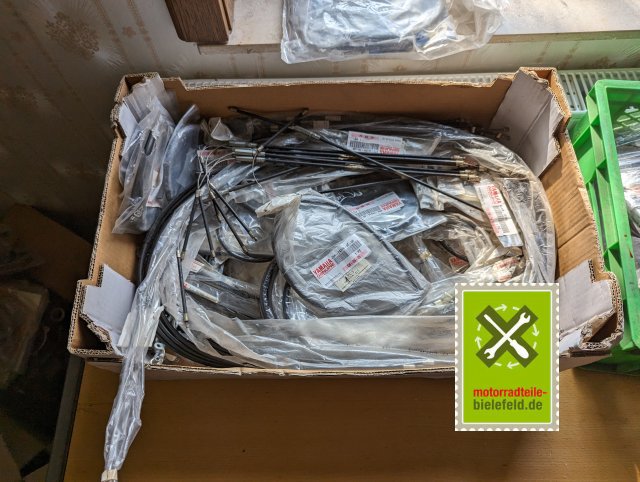 PXL_20240510_151032828